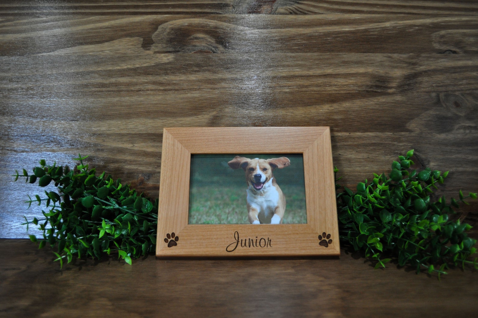 Pet Frames Dog Frame Cat Frame Personalized Pet Frame Etsy