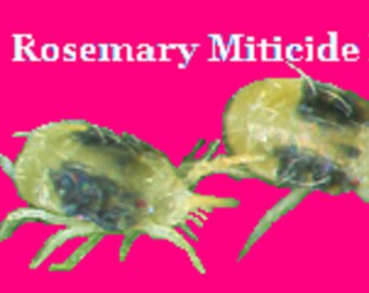Rosemary Miticide XX Kills Spider Mites and Kills Spider Mite Eggs - Makes 28 Ounces
