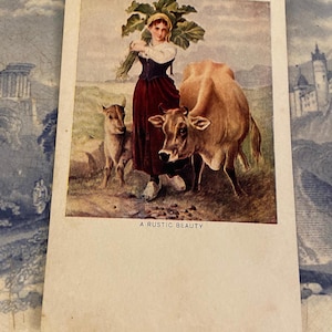 Antique Postcard A Rustic Beauty - Farmer’s Daughter with Cow Unused Post Card