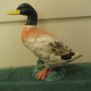 Tope de puerta de pato