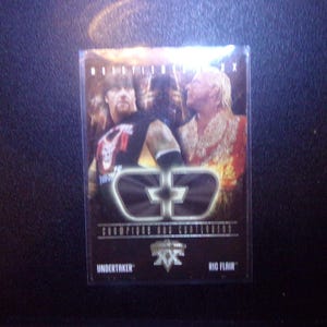 2004 Fleer WrestleMania Champions and Contenders