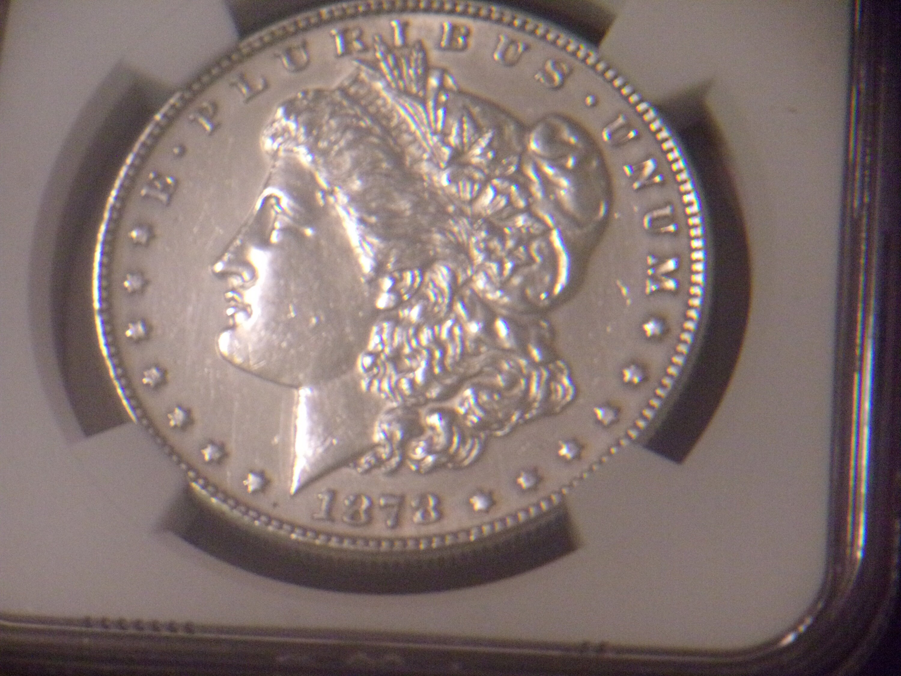 1878 7tf rev 78 モルガン シルバー ダラー BU - Etsy 日本