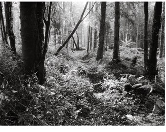 Nature Prints, Ireland Landscape Photography, Black And White Photography, Nature Lover Gift, Nature Photography, Fine Art Photography