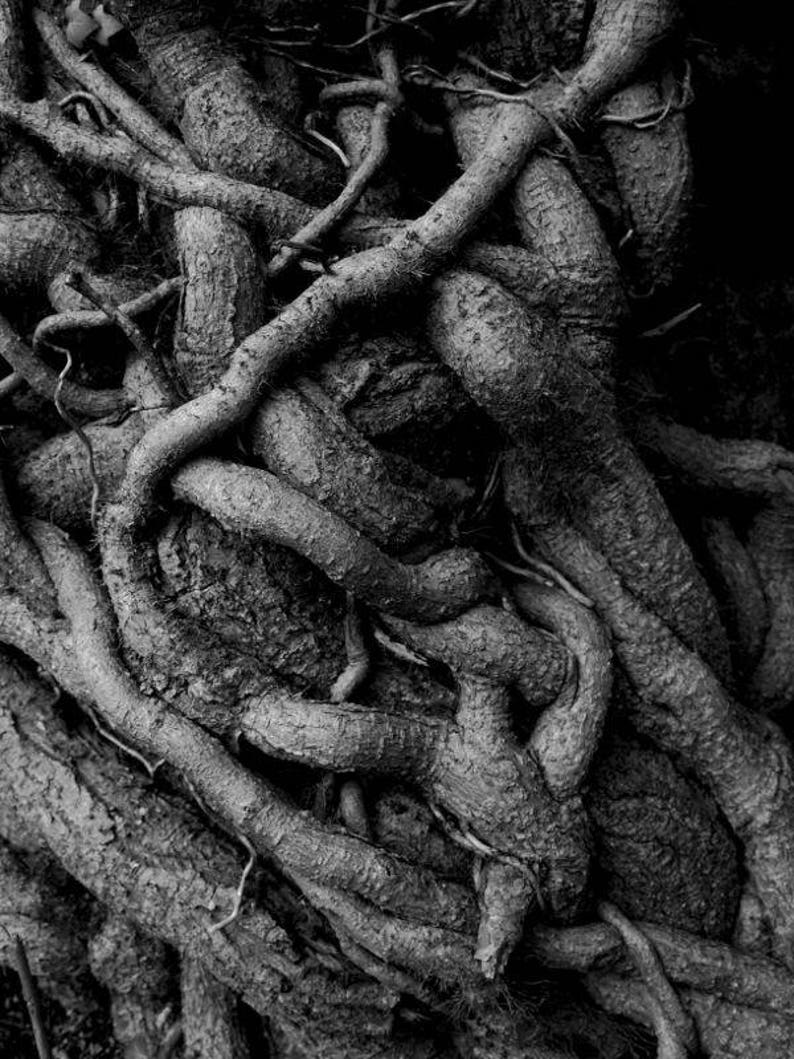 Irish Photography Book, Irish Landscape Photography, Black and White