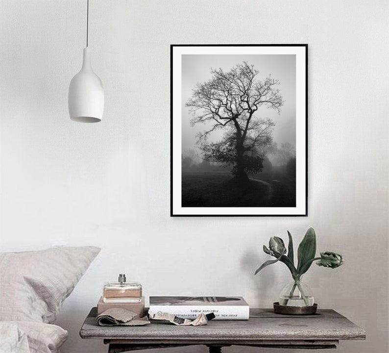 Irish Landscape Tree Photography Prints Nature Wall Art Etsy