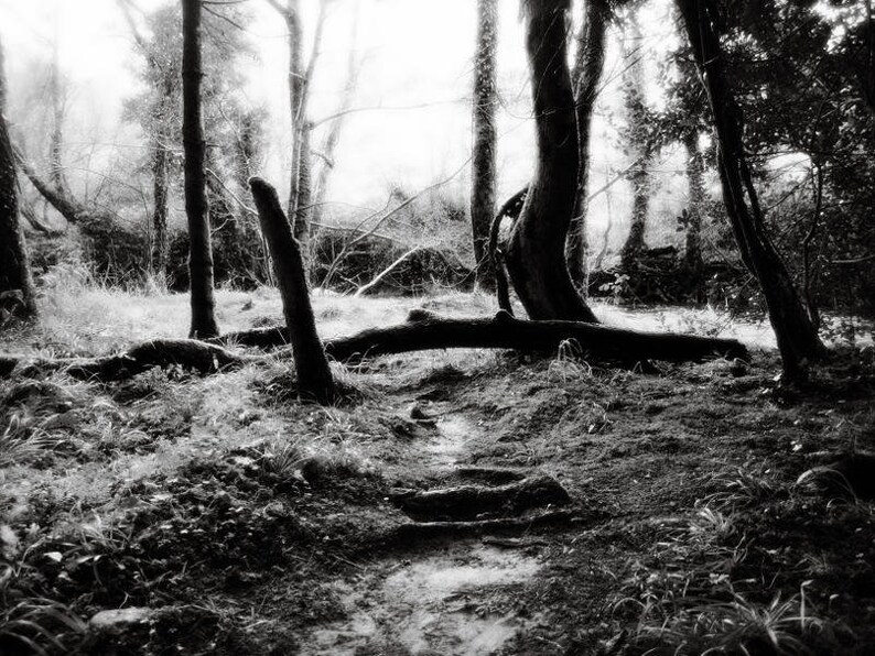 Irish Photography Book, Irish Landscape Photography, Black and White Irish Photography, Ireland