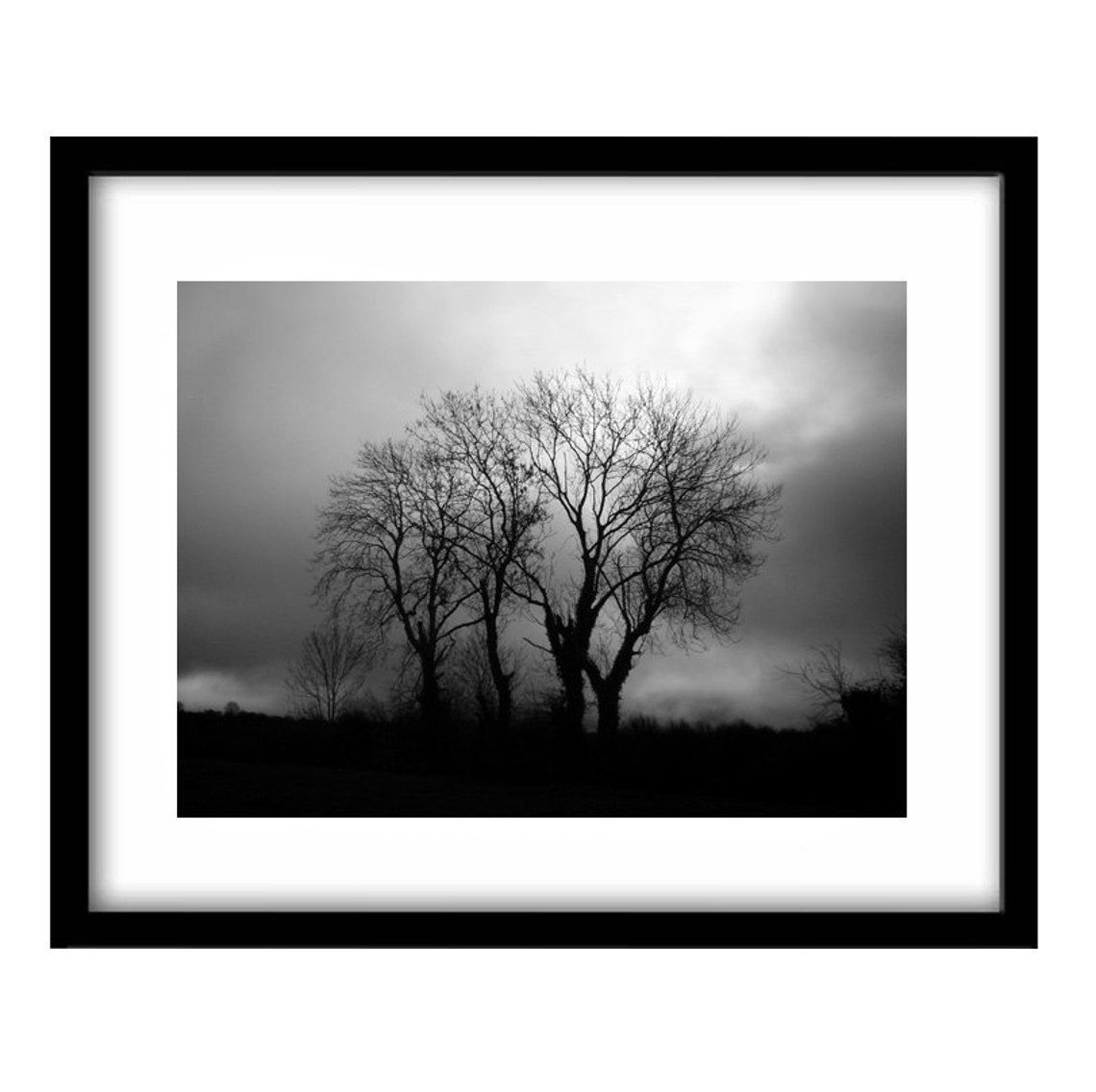 Black and White Irish Art, Nature Photography, Shabby Tree, Ireland Photography Print, Irish