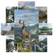 see more listings in the Austrian Alps/Sudtirol   section