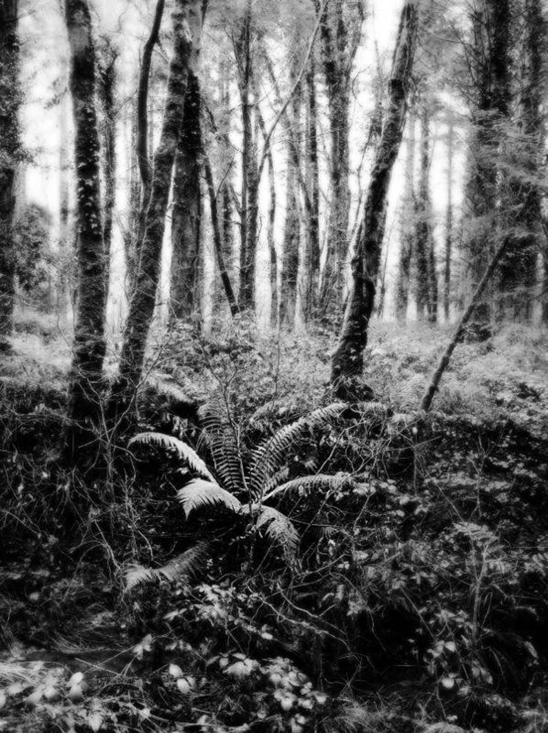 Irish Photography Book, Irish Landscape Photography, Black and White