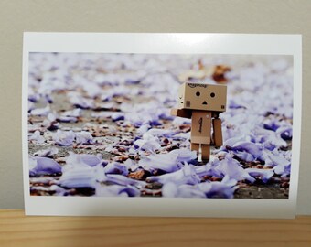 Danbo Amongst the Spring Petals - Color Photo Print