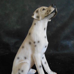 Dalmatian Dog - Sitting