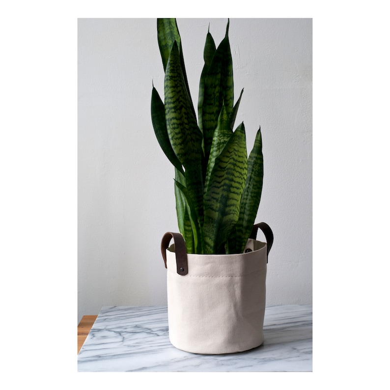 Bolsa de jardinera de lona, cubierta de maceta de cesta de planta de jardinera de interior / regalo de contenedor de maceta para él ella para amante de las plantas imagen 1