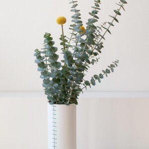 Leather Wrapped Vase: White with colored Handstitched Cover - Fresh or Dried Flowers image 5