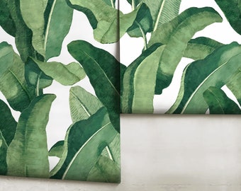 Large Scale Catalina Palms  - Removable or Traditional Wallpaper • Vinyl-Free •  Non-toxic