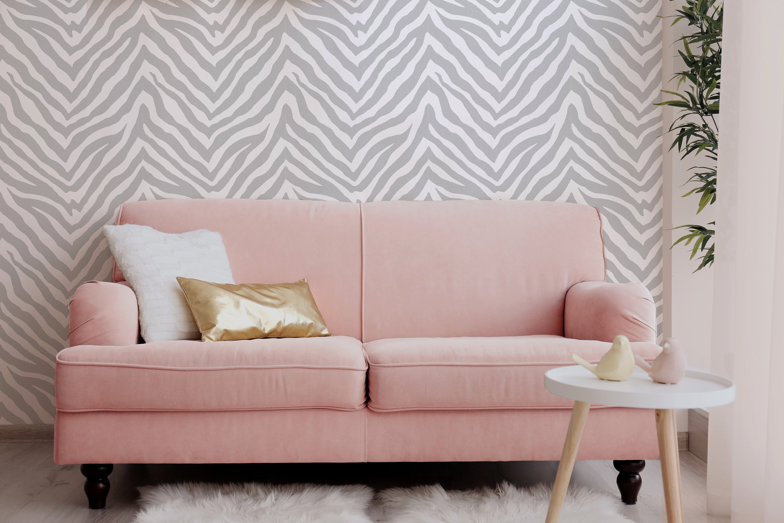 Zebra Foto Behang | Grote Glimlach — WonderMural, image size:3000x2000