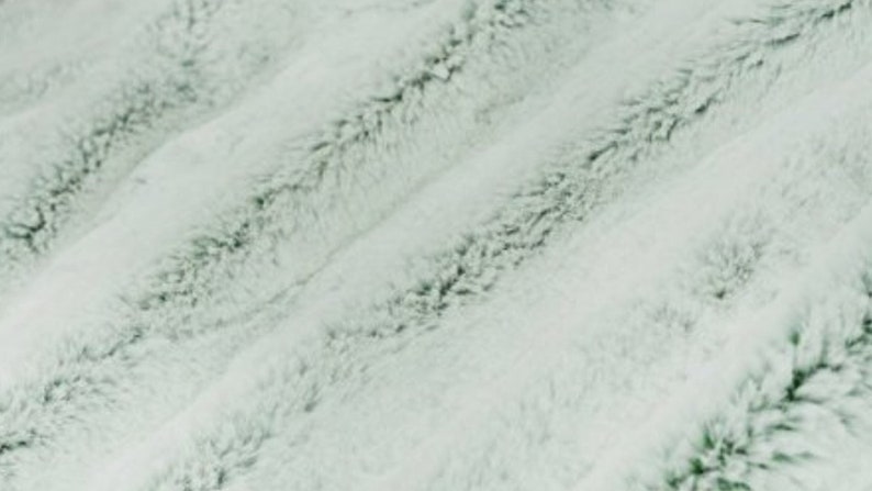 Evergreen Frost Minky Fabric By The Yard Minky By The Yard Shannon Luxe Cuddle Frost Evergreen Green Plush Texture