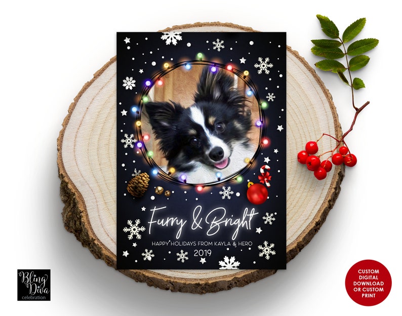 Furry and Bright Pet Christmas Card Pet Photo Christmas Card Etsy