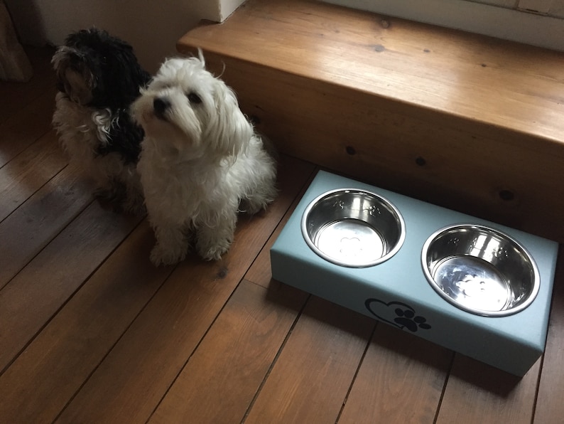Personalised hand made and hand painted Dog feeders with stainless steel bowls