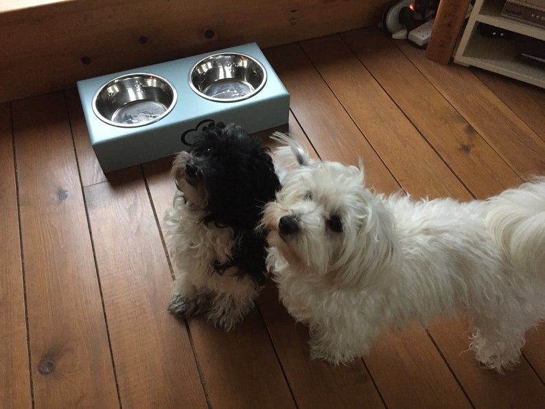 Personalised hand made and hand painted Dog feeders with stainless steel bowls