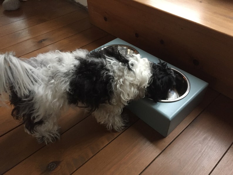 Personalised hand made and hand painted Dog feeders with stainless steel bowls