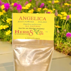Angelica Root Powder  (Angelica pubescens)