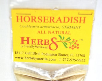 Horseradish  -   (Cochlearia armoriacia)
