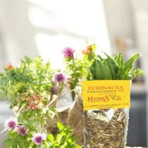 Echinacea      (Echinacea purpurea) Specially Selected Chopped Dried Hand Packed
