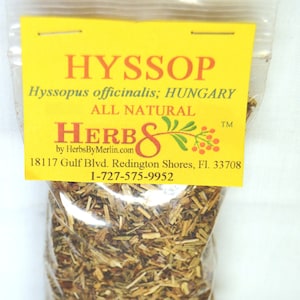 Hyssop  -  (Hyssopus officinalis)