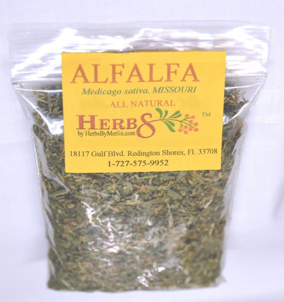 Alfalfa Herb medicago Sativa Etsy