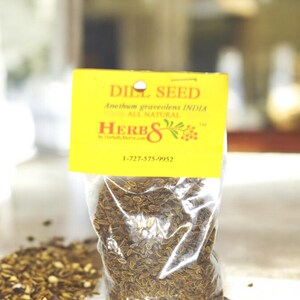Dill Seed.   Anethum graveolens Specially Selected Hand Packed