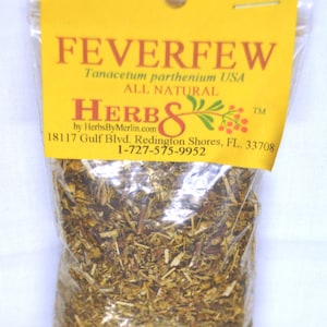 Feverfew  -   (Tanacetum parthenium)