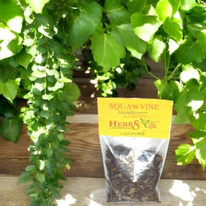 Squawvine - Mitchella repens Specially Selected Cut Chopped Sifted and Hand Packed