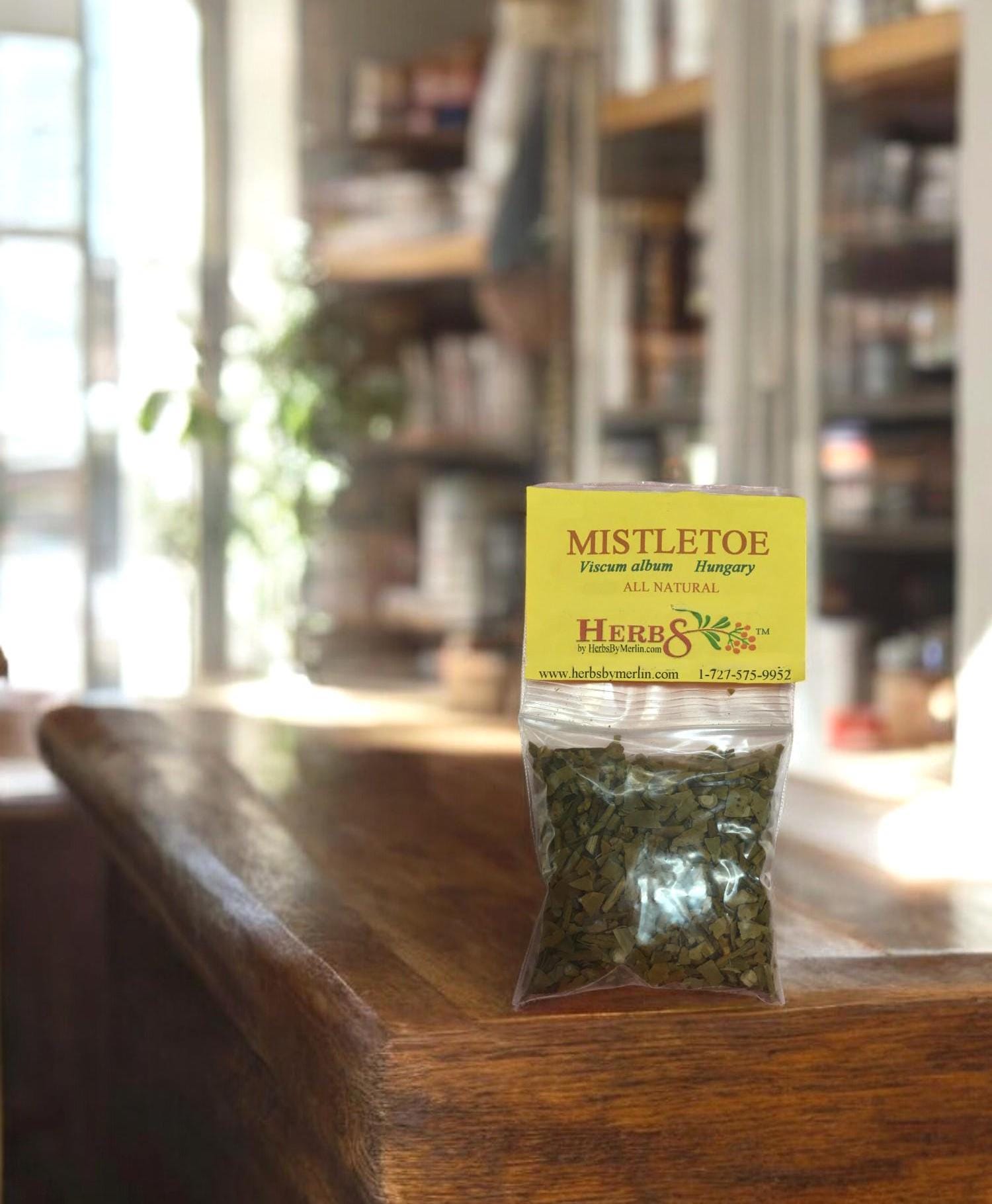 ヤドリギ - (Viscum album)。乾燥、カット、ふるい分け、手作業で梱包