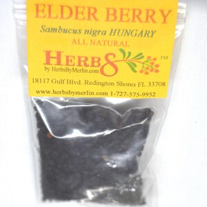 Elderberry whole.    (Sambucus nigra)