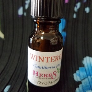 Wintergreen undiluted oil Essential Oil  -  1/2 ounce bottle.  Gaultheria procumbens.