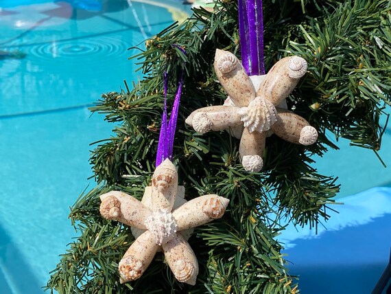 Set of Two Oceanside Starfish and Scallop Shell Christmas Holiday Ornaments 
