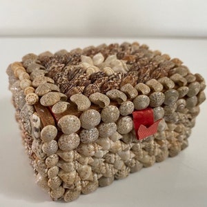 Sea Shell Box Vintage Trinket Box