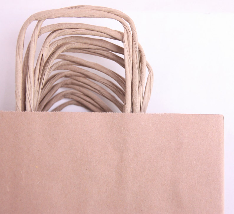 10 eco paper bag brown kraft paper bag with handles gift packaging shop DIY wrap birthday wedding party favors small shopping bag
