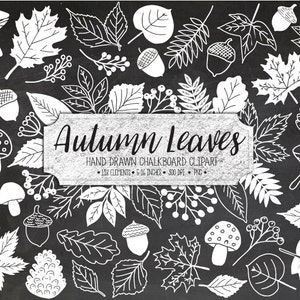 Herbst Blatt Clipart. Kreide, Tafelblätter. Herbstlaub, Eichel, Pilz, Clip Art. Gekritzel-Hand gezeichnete Herbst-Tafel-Illustration