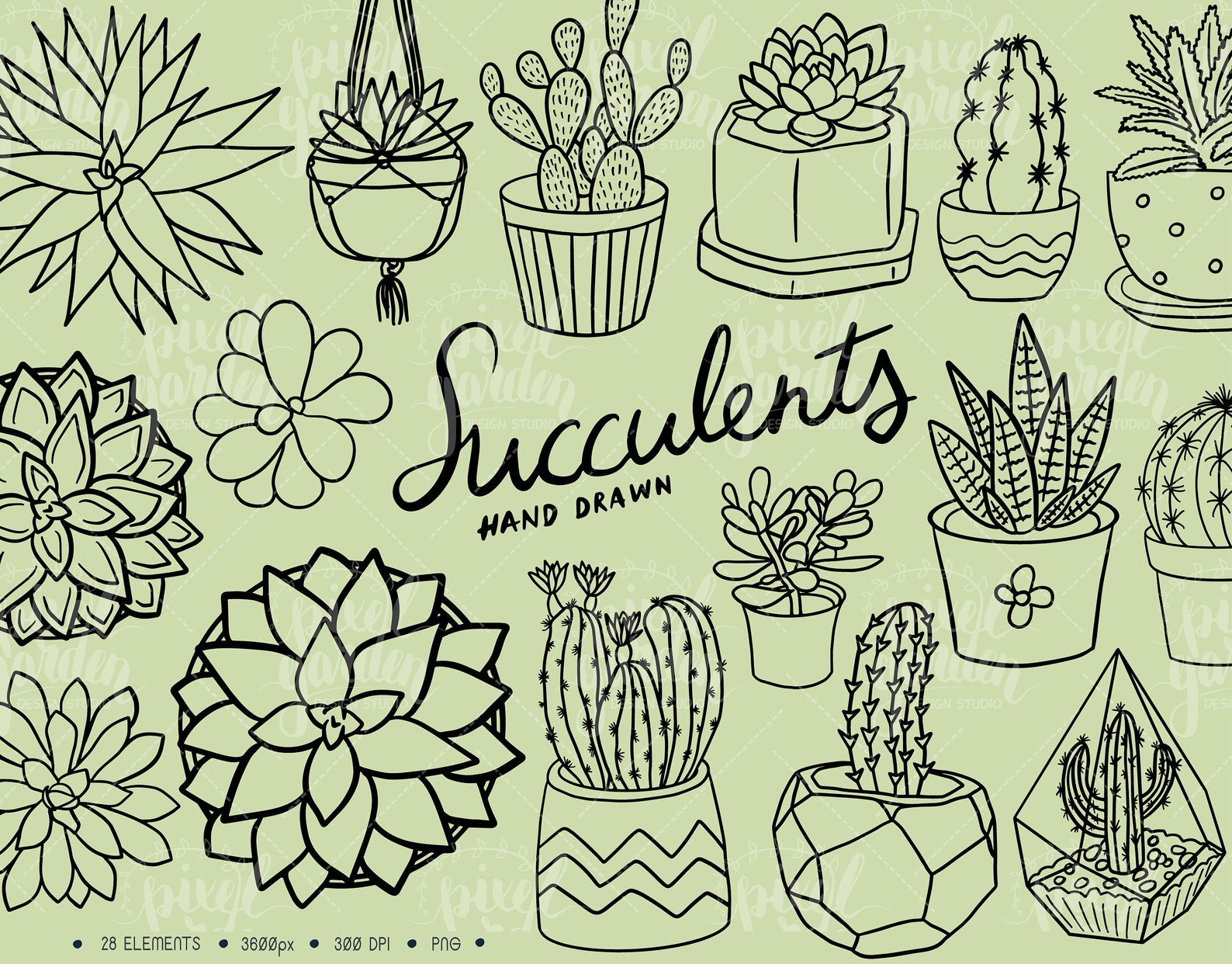 Succulent and Cactus Clip Art. Hand Drawn Succulents. Cute Cacti ...