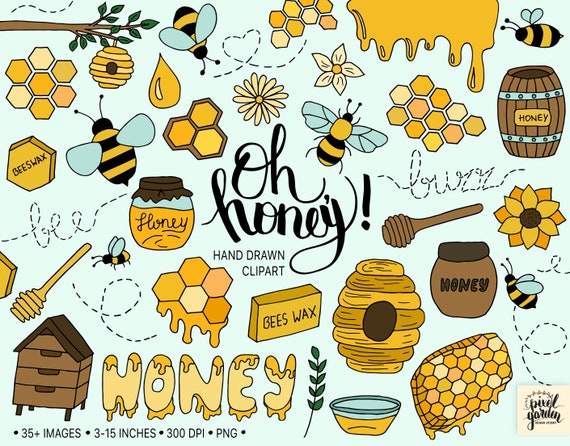 Bee Clipart. Hand Drawn Honey, Hive Clip Art. Doodle Floral Summer Clipart.  Honeycomb, Honey Drip, Beekeeper Illustrations for Stickers 