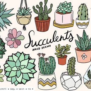 Clip Art de Suculentas y Cactus. Garabatos de cactus de arte lineal. Han dibujado suculentas. Lindas ilustraciones de cactus. Planificador de plantas en macetas Clip Art PNG.
