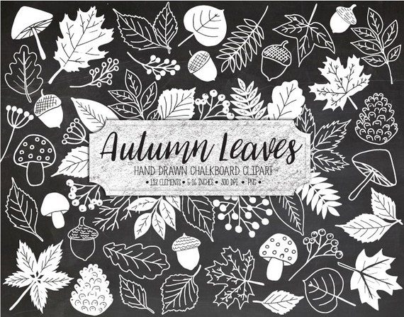 fall leaf clipart chalk