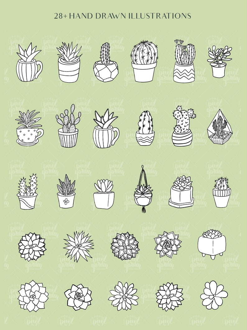 Succulent and Cactus Clip Art. Hand Drawn Succulents. Cute Cacti ...