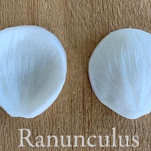 Ranunculus - Silicone Mold