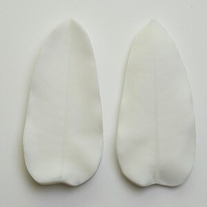 May include: Two white fondant petal shapes for use in cake decorating.