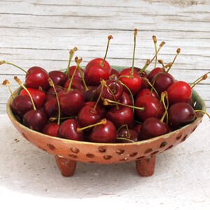 Pottery Berry Bowl -Fruit Colander-Serving Bow