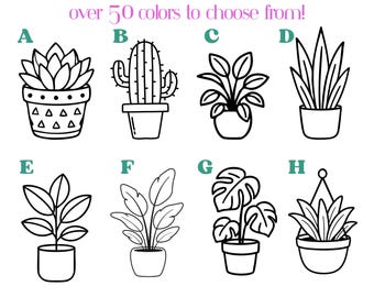 House Plant, Cacti, Cactus, Monstera, Bird of Paradise, decal for car, tumbler, Laptop, mirror, mug, drinking glasses, waterproof