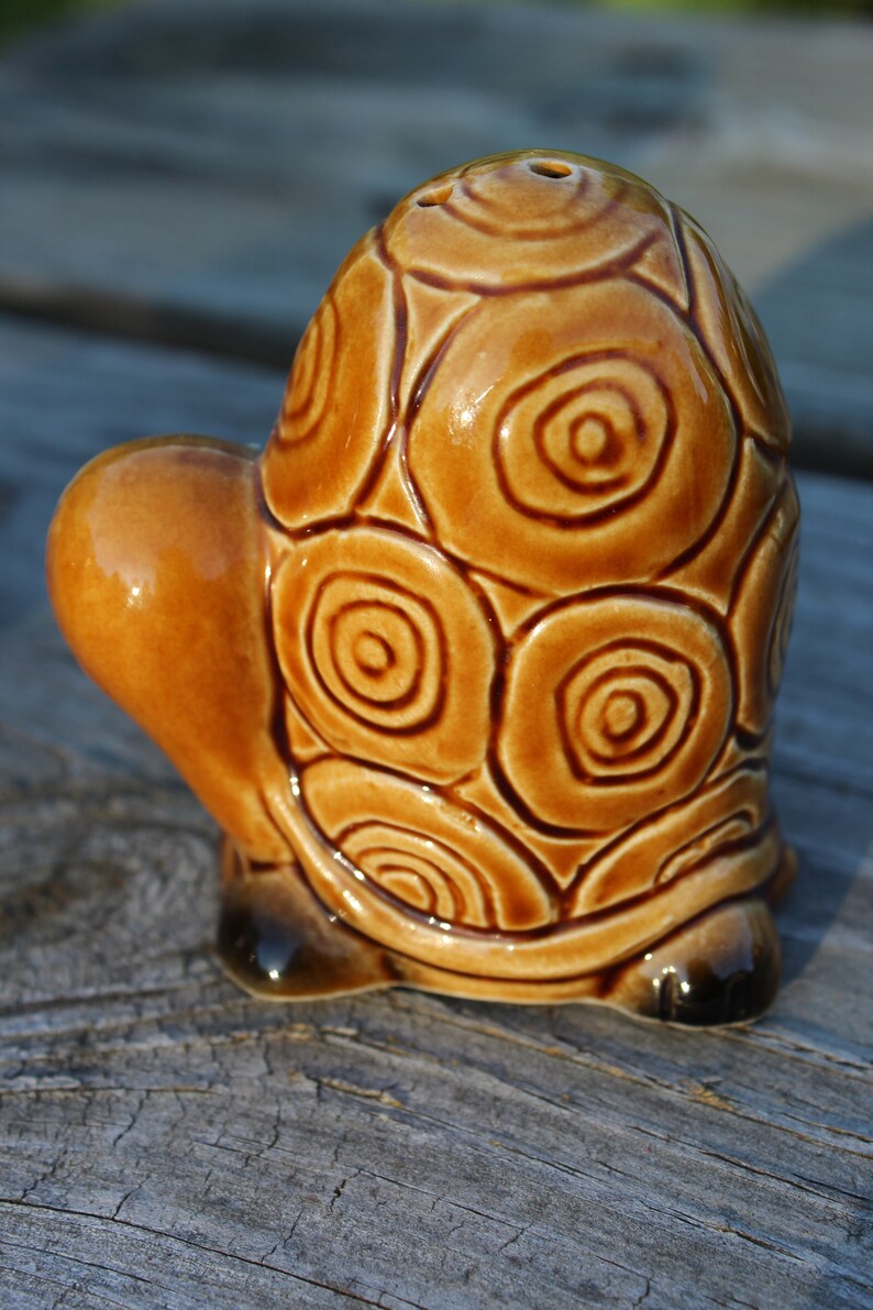 Cartoon Turtle Salt /& Pepper Shakers Made In Japan