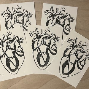 Cartões estampados Coração Anatômico: Conjunto de 5 com envelopes